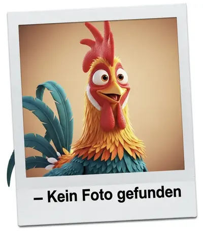 Hauswirtschaftskraft in Teilzeit / 15h