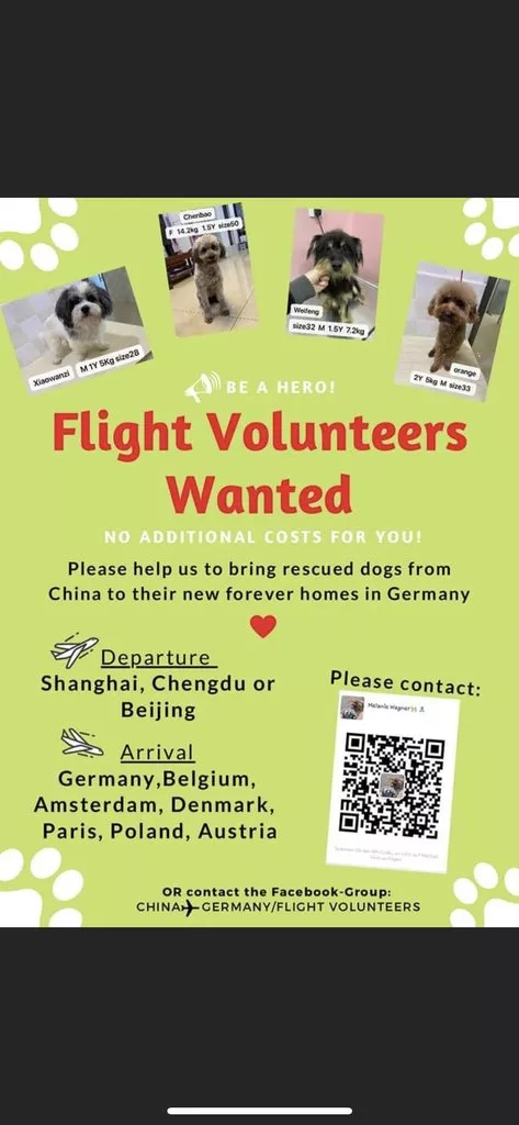 Flight Vounteers